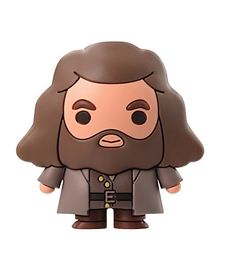 Harry Potter Novelty Magnet, Multi Color