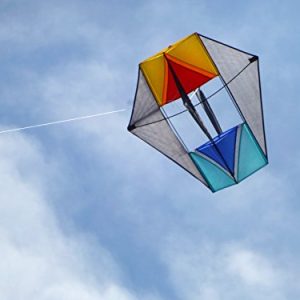 In the Breeze Hot Cool Winged Box Kite