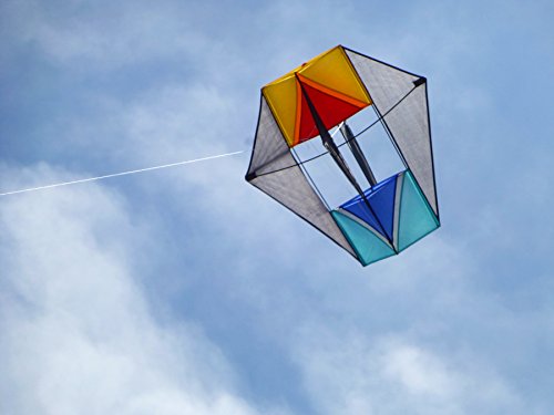 In the Breeze Hot Cool Winged Box Kite