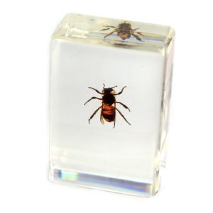 REALBUG Honey Bee Paperweight (1.8x1.1x0.8)