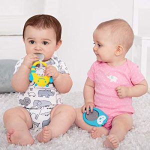 Skip Hop Stay Cool Teether, BPA-free and Freezer Safe Silicone Coated Baby Teether, Hedgehog