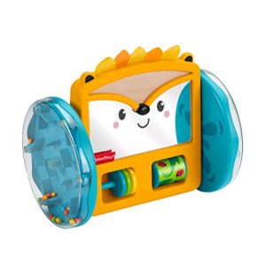 Fisher-Price Play & Crawl Hedgehog Mirror, Tummy Time & Crawling Toy