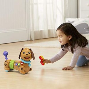 VTech Rattle & Waggle Learning Pup