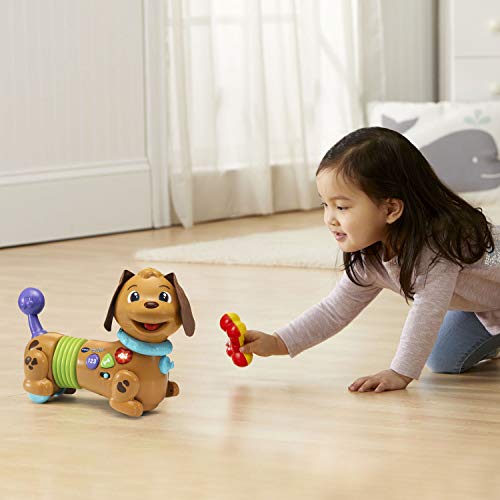 VTech Rattle & Waggle Learning Pup