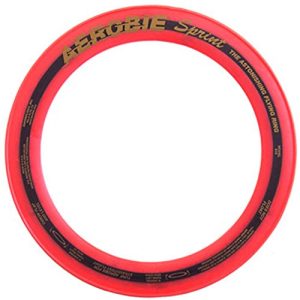 Aerobie Sprint Ring 10`` (6044008)