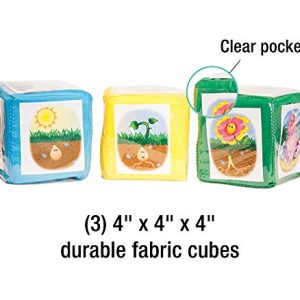 Carson-Dellosa Publishing Differentiated Instruction Cubes