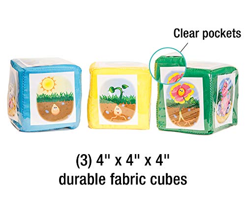 Carson-Dellosa Publishing Differentiated Instruction Cubes