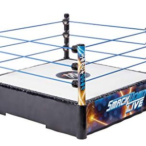 WWE Smackdown Live Ring