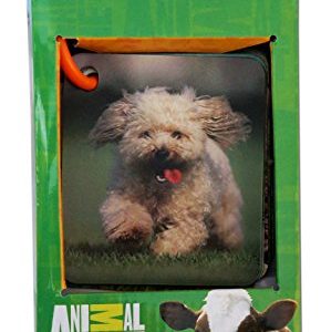 Animal Planet 3D Flash cards - Pets & Farm Animals