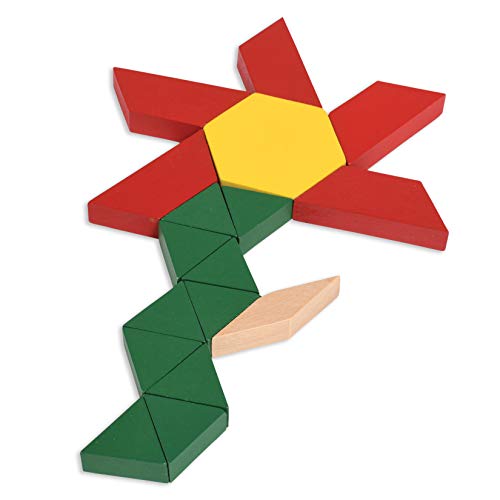 Learning Advantage Wood Pattern Blocks