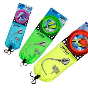 Prism Bora Single-line Parafoil Kite