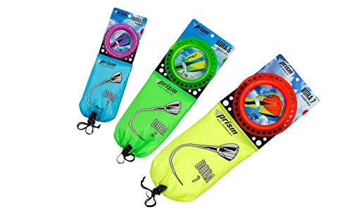 Prism Bora Single-line Parafoil Kite