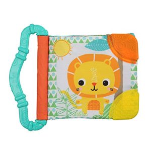 Bright Starts Teethe & Read Toy, Style May Vary