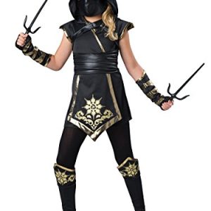 Fun World InCharacter Costumes Ninja's Mystique Costume, One Color, Size 6