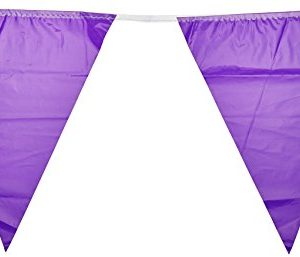 Beistle Indoor/Outdoor Pennant Banner, 10-Inch by 12-Feet, Purple