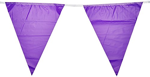 Beistle Indoor/Outdoor Pennant Banner, 10-Inch by 12-Feet, Purple