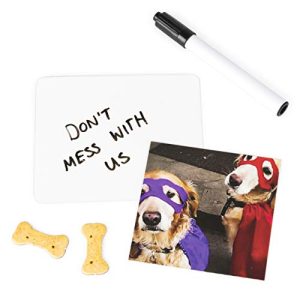 The Dog Game, Hilarious Family Game with Doggos, for Ages 8 & Up