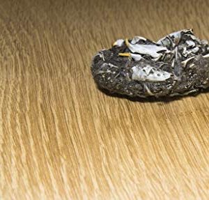 hand2mind Large Barn Owl Pellets (Pack of 50)