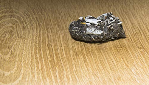 hand2mind Large Barn Owl Pellets (Pack of 50)