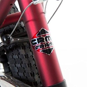 Dave Mirra Boys 8110-06T 20-Inch Redefin/Mirraco Bike, Bright Red/Black/White