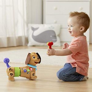 VTech Rattle & Waggle Learning Pup