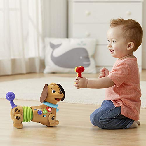 VTech Rattle & Waggle Learning Pup