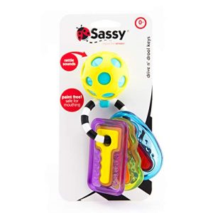 Sassy Drive 'n Drool Keys with Rattle Key Chain and 3 Teether Keys, Age 0+ Months