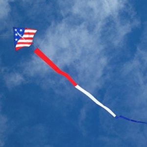 In the Breeze Patriot Delta Kite with Tail