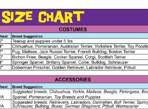 Rubie's Uncle Sam Pet Costume