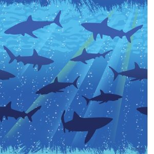 Creative Converting Shark Splash Plastic Tablecover, Rectangle, 54" x 108"