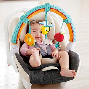 Hape Garden Friends Play Arch| Infant Crib Play Set Hanging Toys, Stroller and Car Seat Pram Toy Suitable for Children 0-5 Month Old
