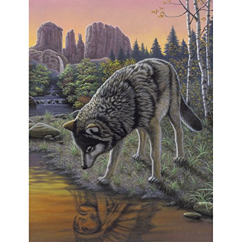 ROYAL BRUSH 8.75 by 11.75-Inch Junior Paint by Number Kit, Small, Reflections