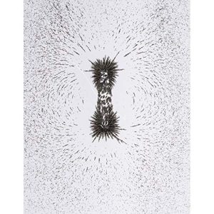 Dowling Magnets DO-731019BN Iron Filings, 12 oz. Jars, Pack of 6