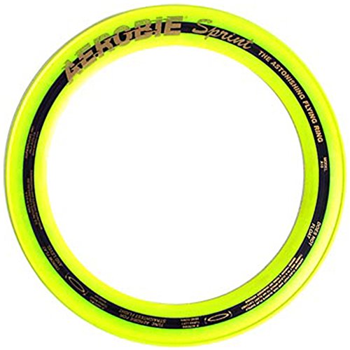 Aerobie Sprint Ring 10`` (6044008)