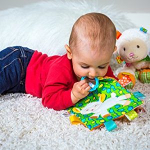 Taggies Crinkle Me Baby Toy, Sherbet Lamb
