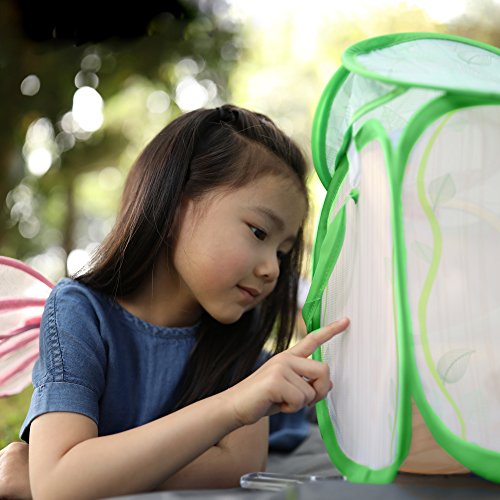 Educational Insights Geosafari Jr. Butterfly Bungalow: Life Science Introduction & STEM Learning