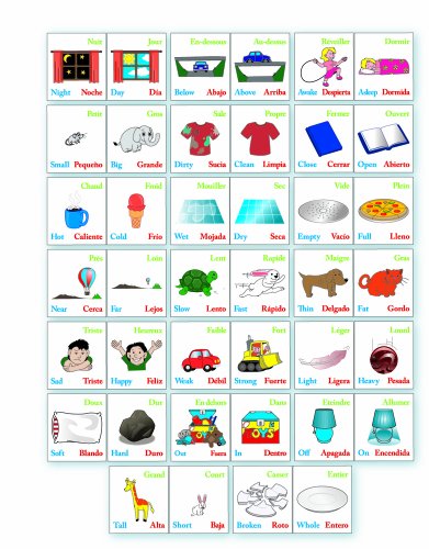 Ingenio Magic Opposites Flash Cards
