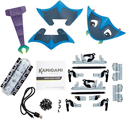 Kamigami Musubi Robot