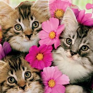 Avanti - Kitten Bouquet Puzzle - 300 Pieces