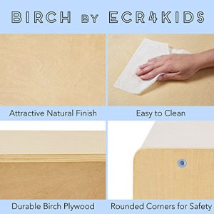ECR4Kids Birch Multi-Section Storage Cabinet with 15 Scoop Front Bins, Assorted Colors