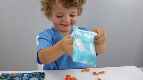 Bumkins DC Comics Wonder Woman Snack Bags, Reusable, Washable, Food Safe, BPA Free, Pack of 2