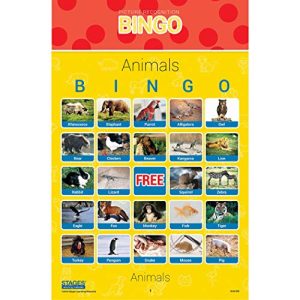 Stages Learning Materials Link4fun Real Photo Bingo 5-Game Set for Family, Preschool, Kindergarten, and Elementary Education: 180 Picture Cards + App