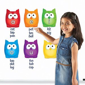 Learning Resources Magnetic Vowel Owls, Whiteboard Accessories, Teacher Aids, 6 Pieces, Ages 5+