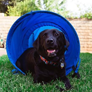 Pacific Play Tent Agility Dog Training Chute