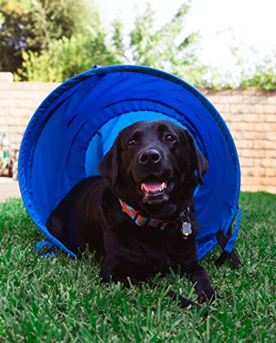 Pacific Play Tent Agility Dog Training Chute