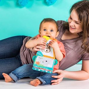 Bright Starts Teethe & Read Toy, Style May Vary