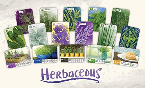 Herbaceous