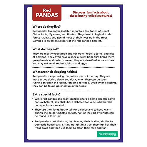 Mudpuppy Red Panda Mini Puzzle