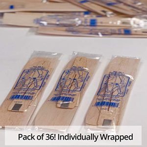 S&S Worldwide 25-1 PK36 Balsa-Wood Top Gun Glider Model Plane (Pack of 36)