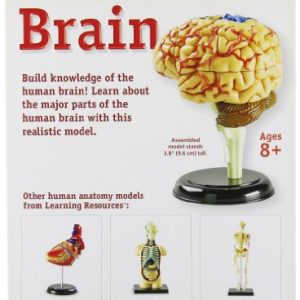 Learning Resources Brain Model